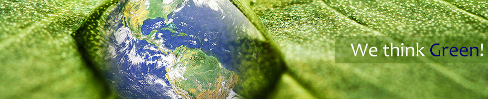 enviromental sustanabilty